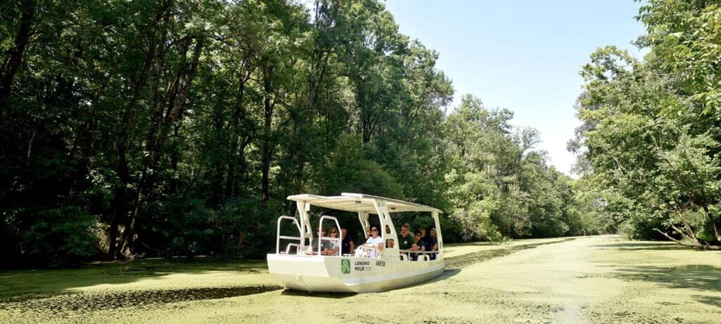 Park prirode Lonjsko bolje, vožnja brodom.