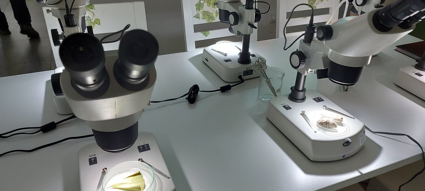 U posjetiteljskom centru Dravska priča nalazi se i prava bioistraživačka stanica pod kojima možete promatrati kukace, kristale, sjemenke, listove…