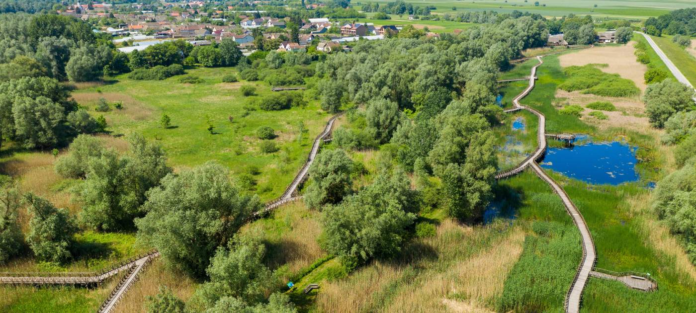 Poučna staza Bijeli lopoč, fotografirano iz zraka, Kopački rit.