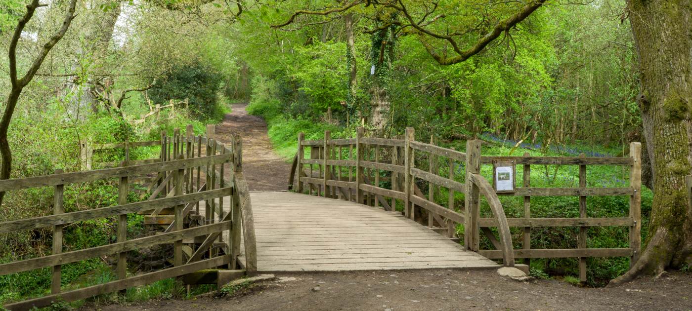 Pooh Sticks most, u šumi Ashdown, Sussex, Engleska. savršena je za obiteljsku šetnicu.