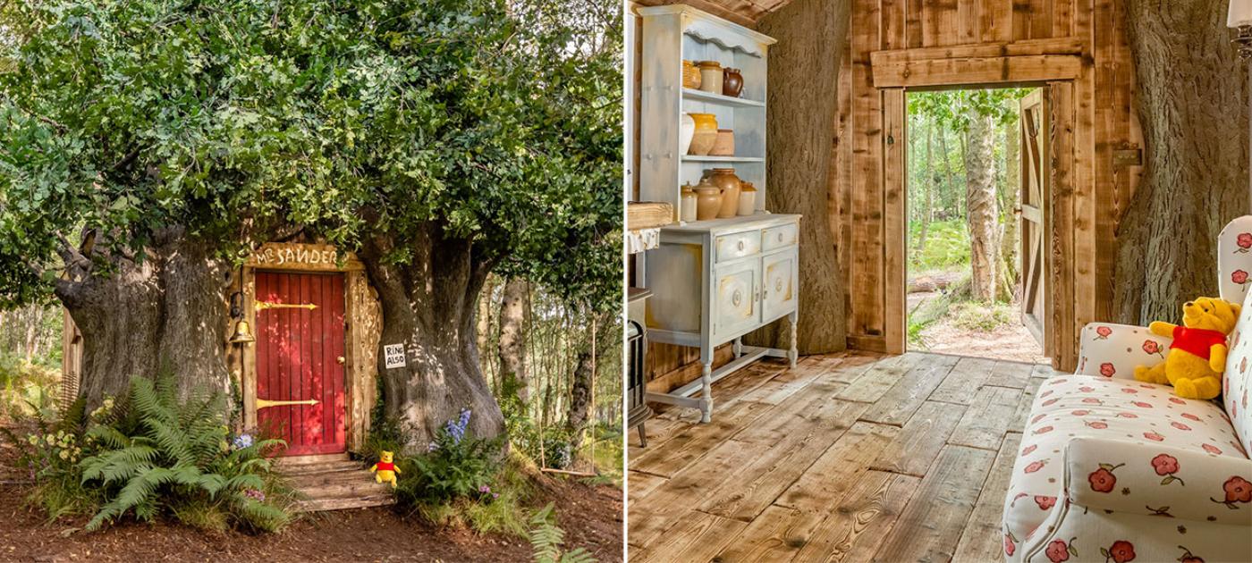Winnie the Pooh kućica, u šumi Ashdown u Engleskoj, u istočnom Sussexu, kompanija Bearbnb sagradila je kućicu za odmor za 4 osobe.