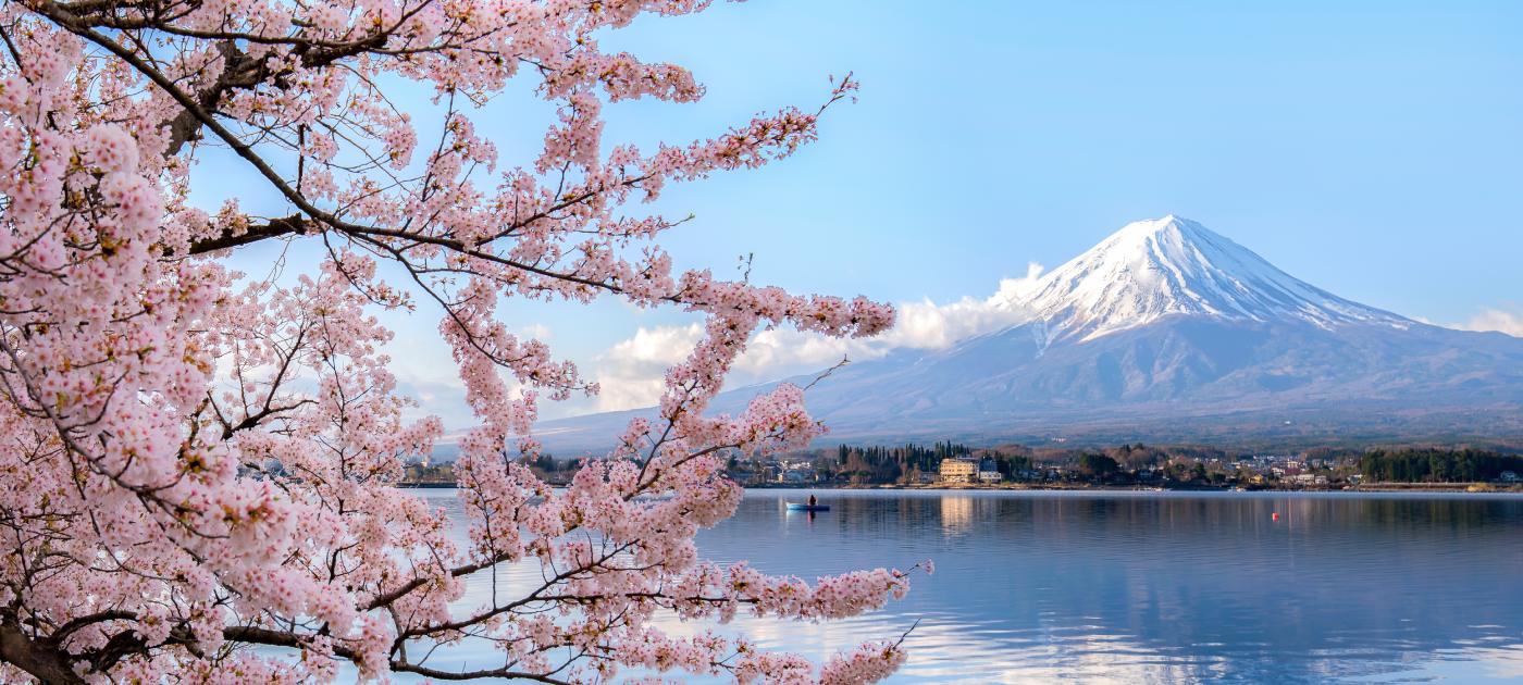 Proljeće u Japanu u znaku je cvjetanja sakure - trešnje.