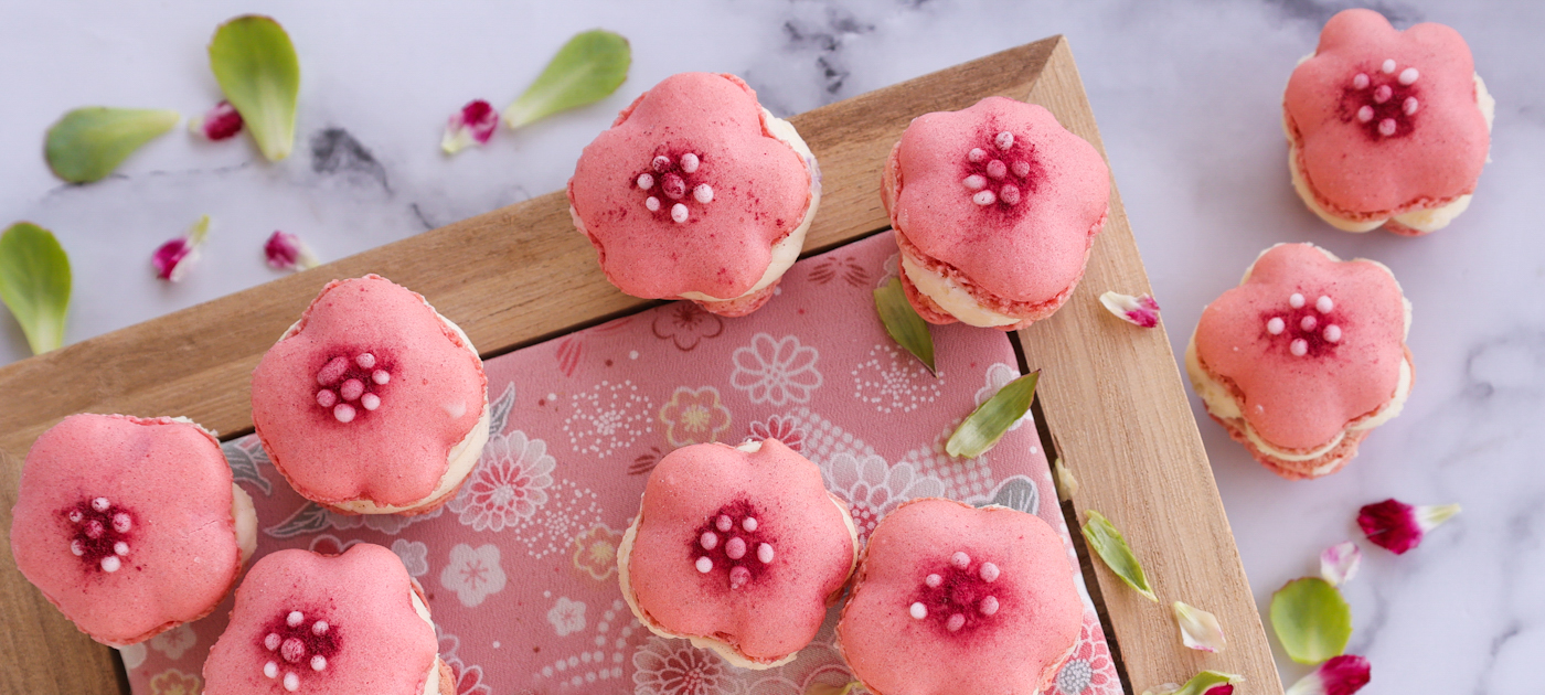 Sakura macaronsi.