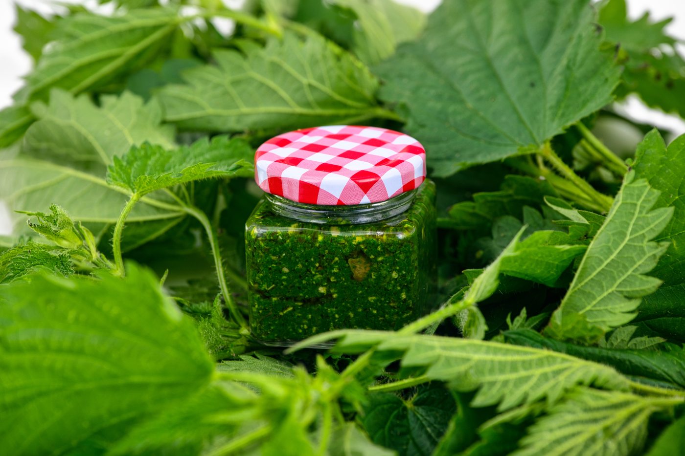 Pesto od koprive.