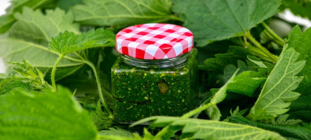 Hotel Zlatan. Pesto od koprive.