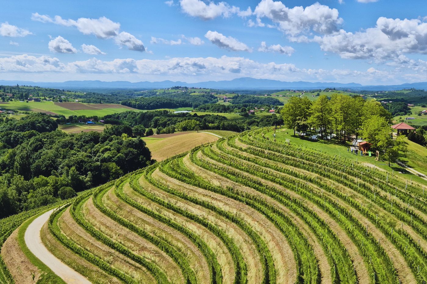 Međimurje - Mađerkin breg, pogled s vidikovca.