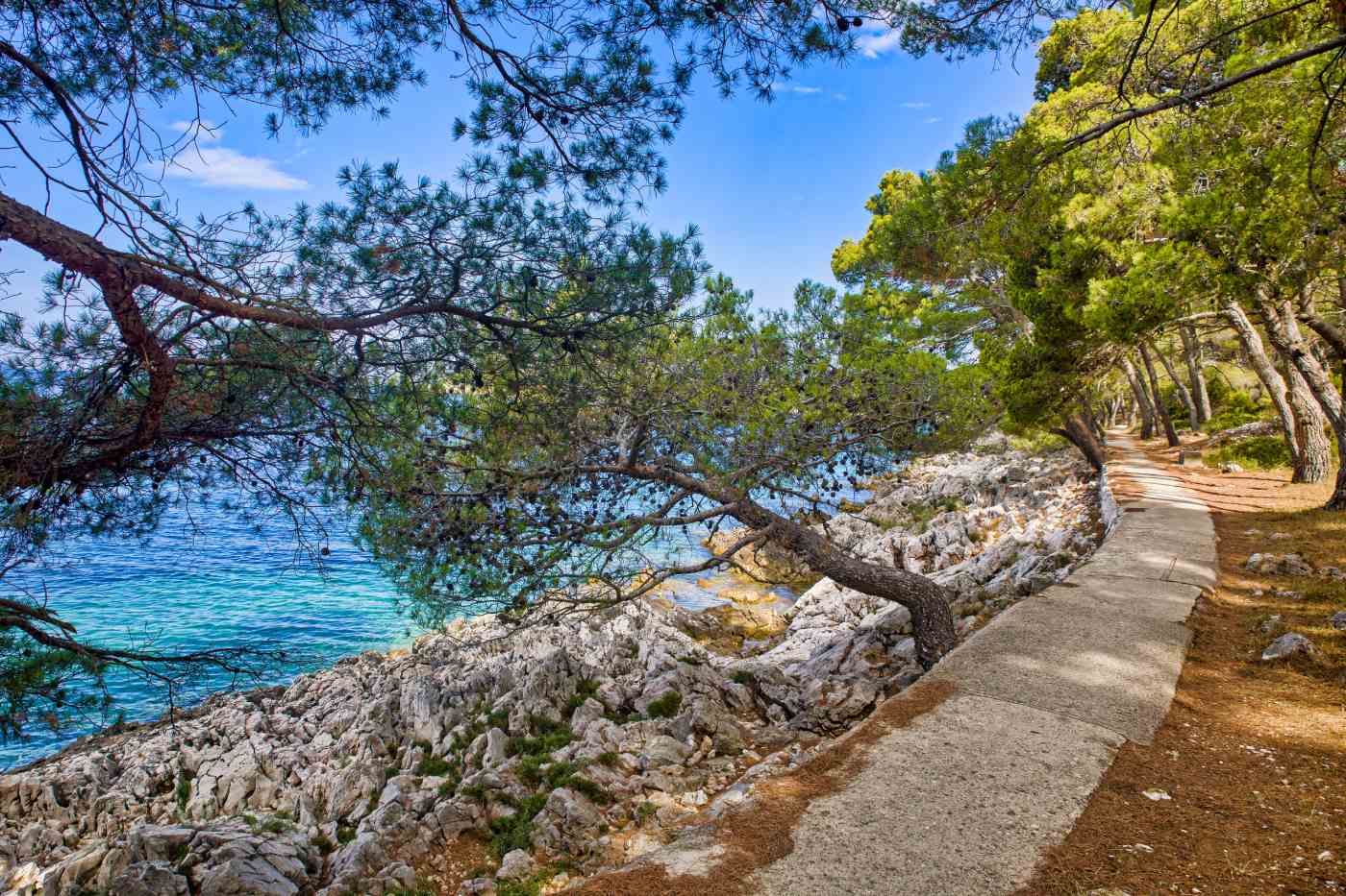 Putovanja za produženi vikend. Mali Lošinj. 