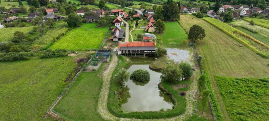Lonjsko polje.