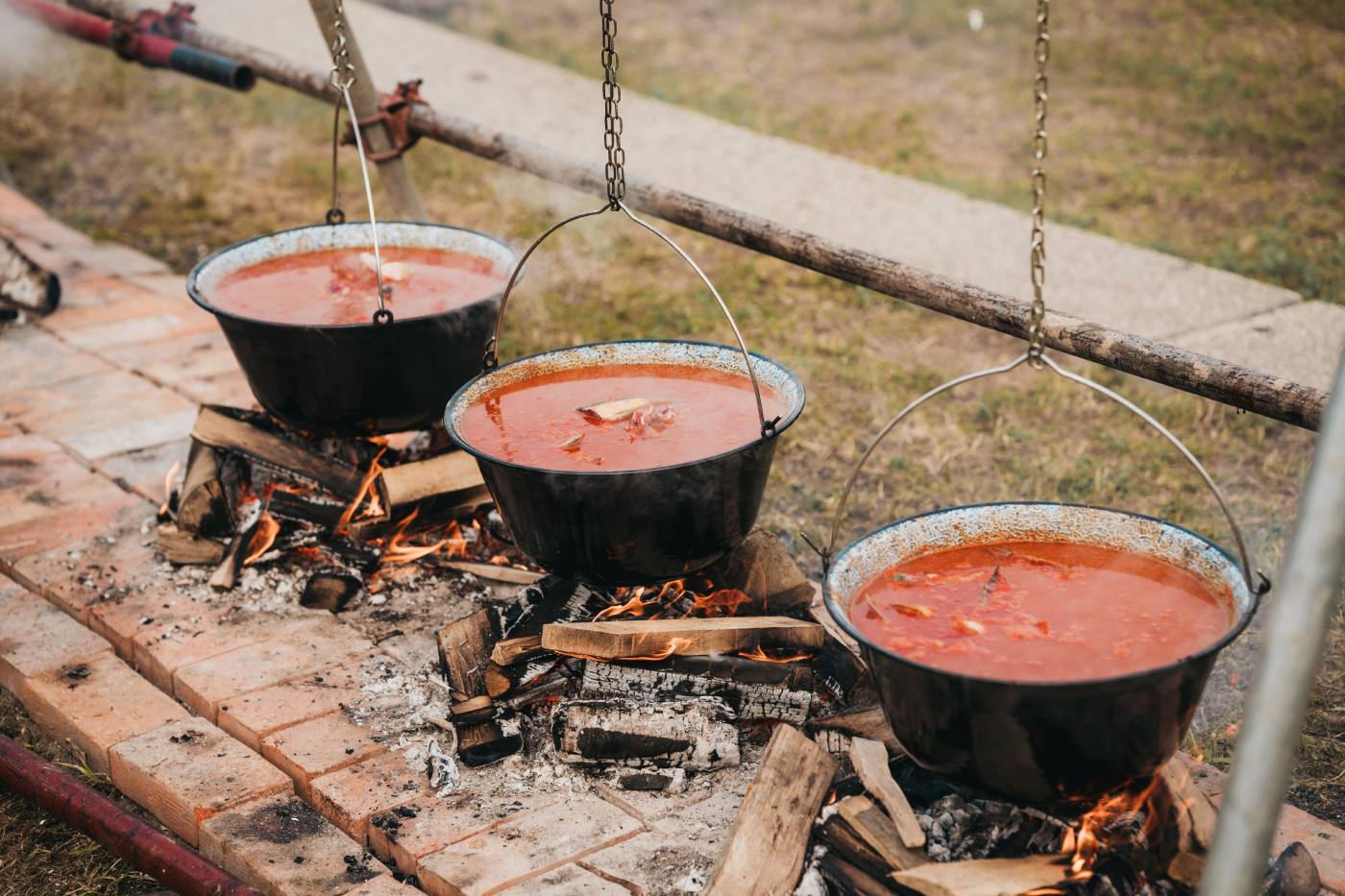 Dunav Fest. Fišijada.