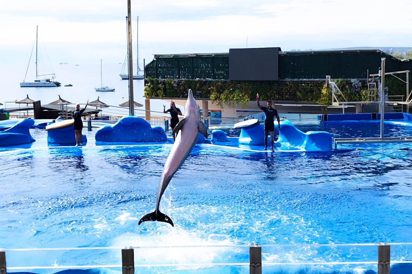 Ana Peršurić Palčić s obitelji u Marinelandu u Mallorci.