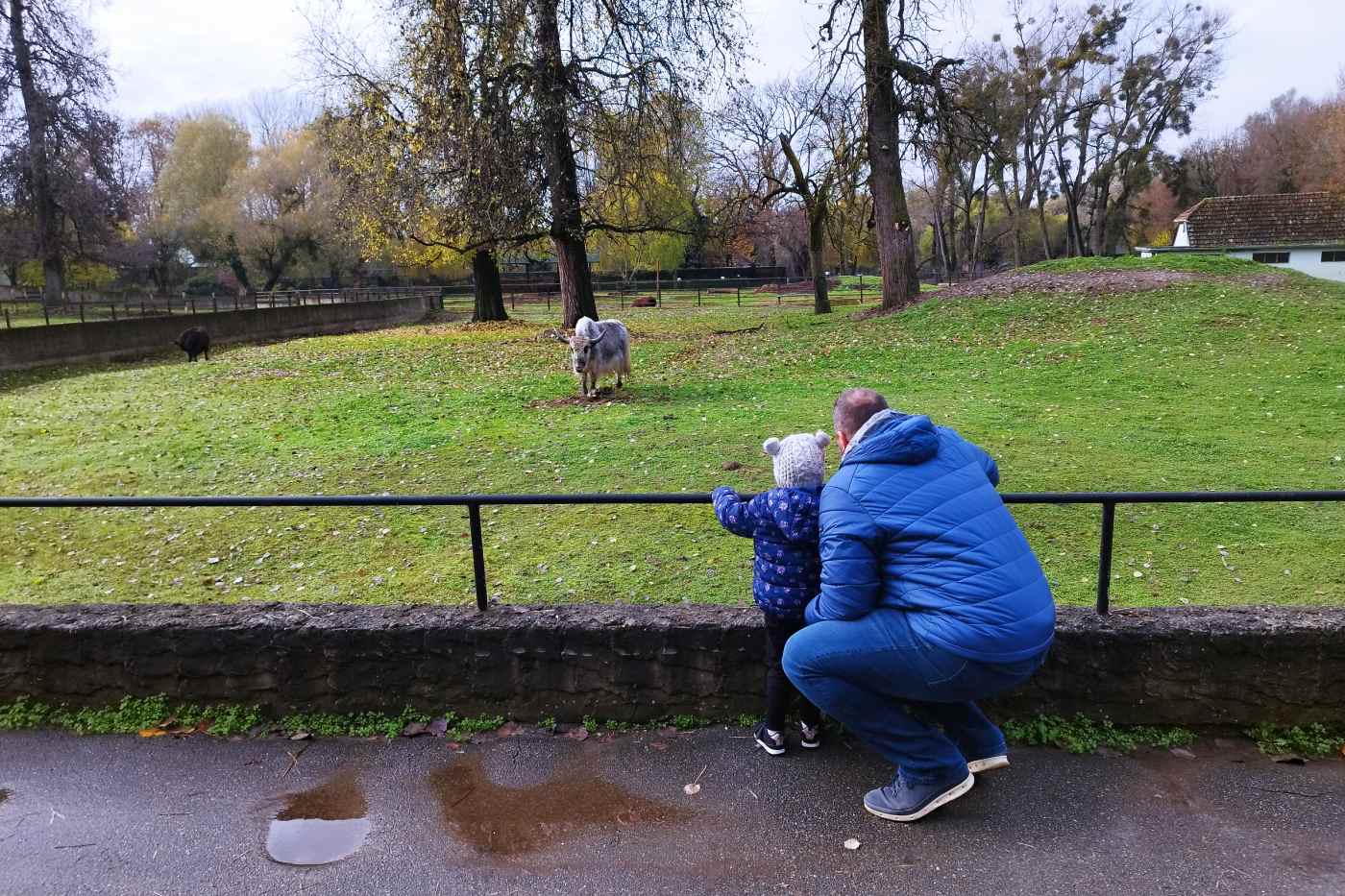 Ana Peršurić Palčić. ZOO vrt u Osijeku malog Magdaleni bio je jedan od najdražih koji je posjetila. 