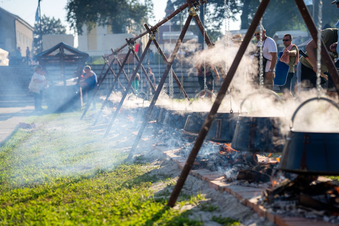 Dunav Fest. Fišijada.