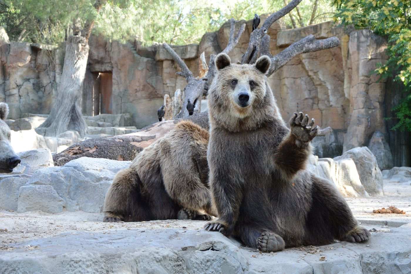 ZOO vrt grada Zagreba. 