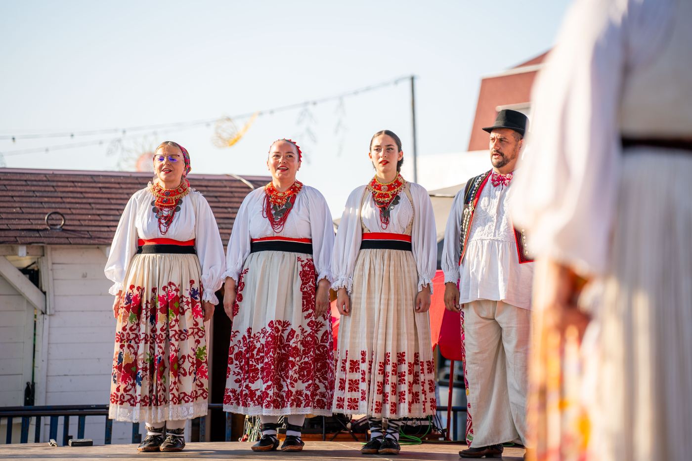 16. susreti folklornih društava „Dunav svome gradu“. 