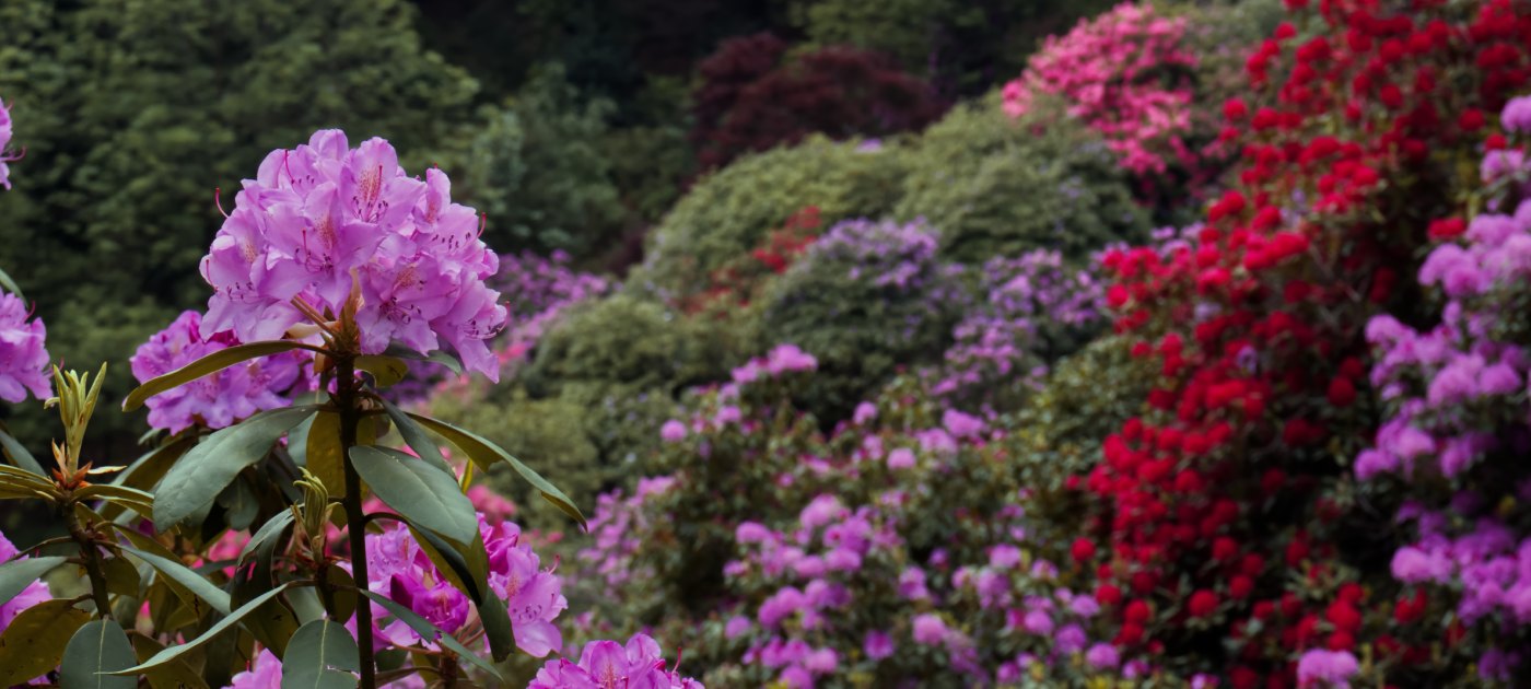 Giardino Belvedere Mariateresa