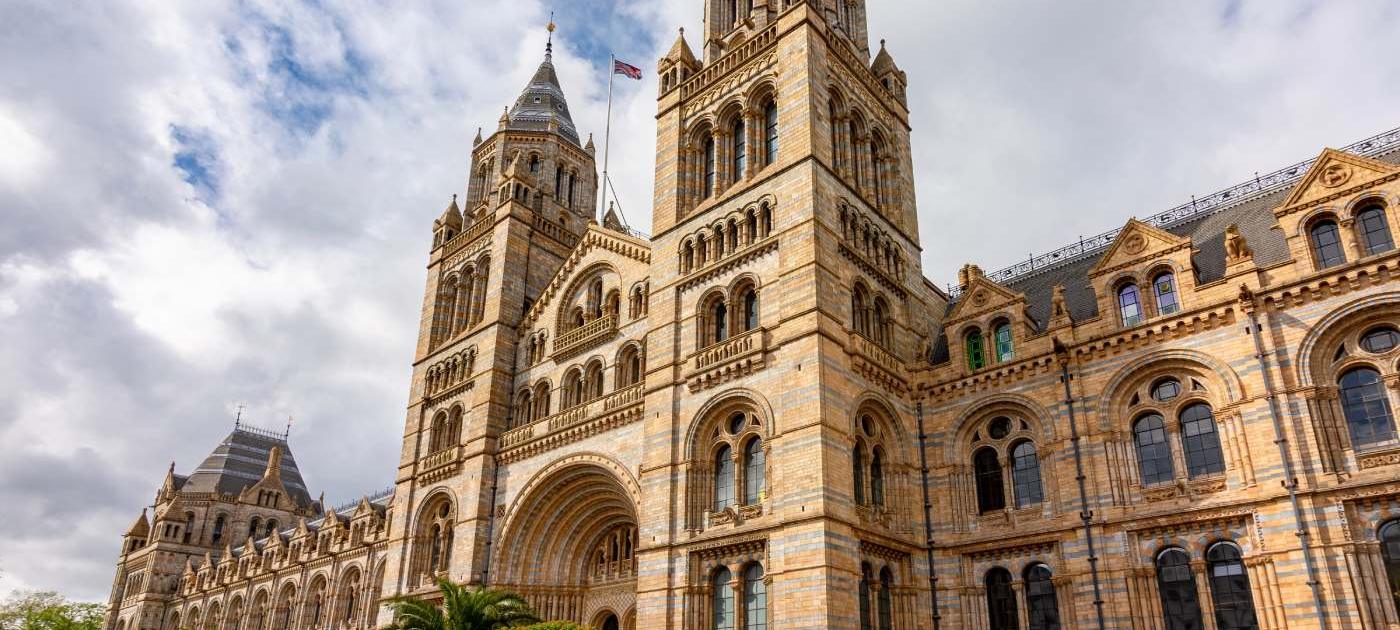 Jurassic Garden. Natural History Museum London.