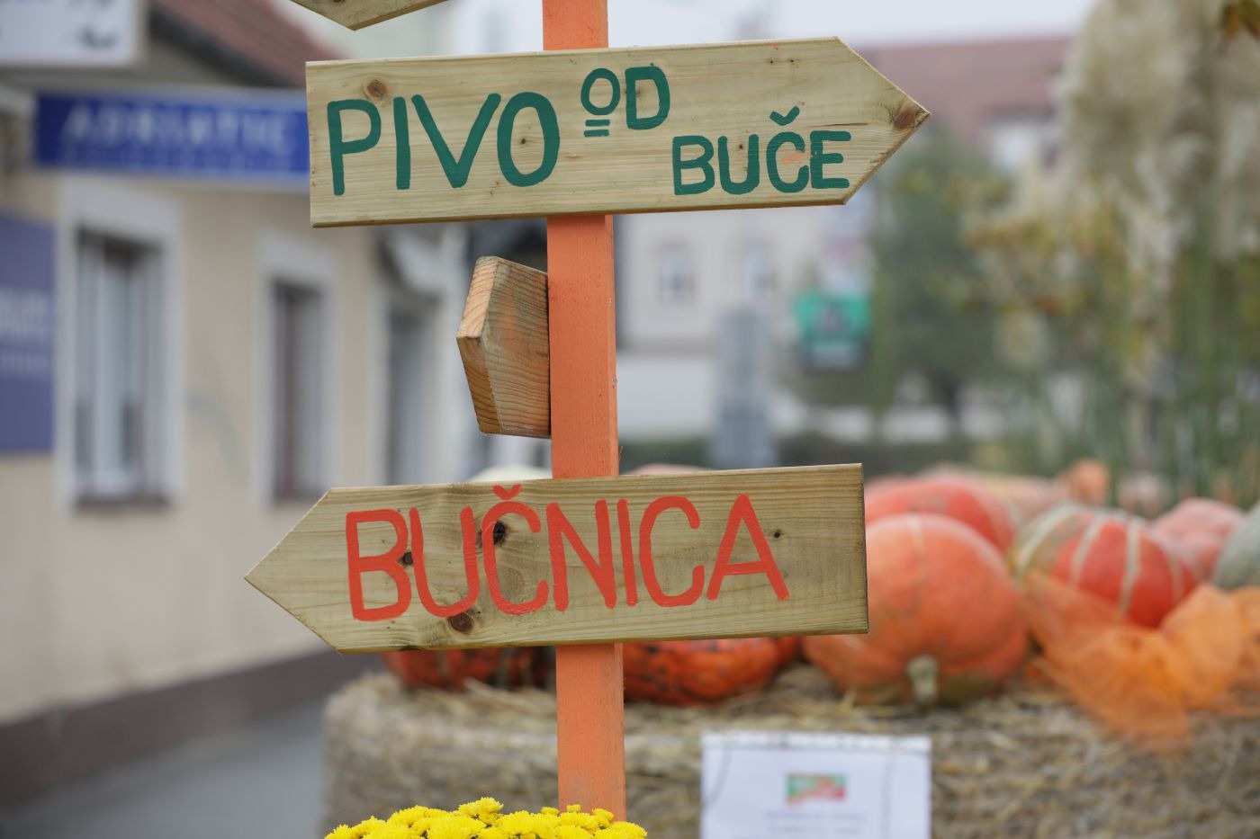 Bučijada.