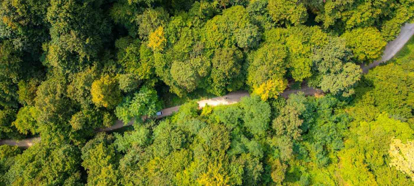 Poučna ekostaza Zelinska gora.