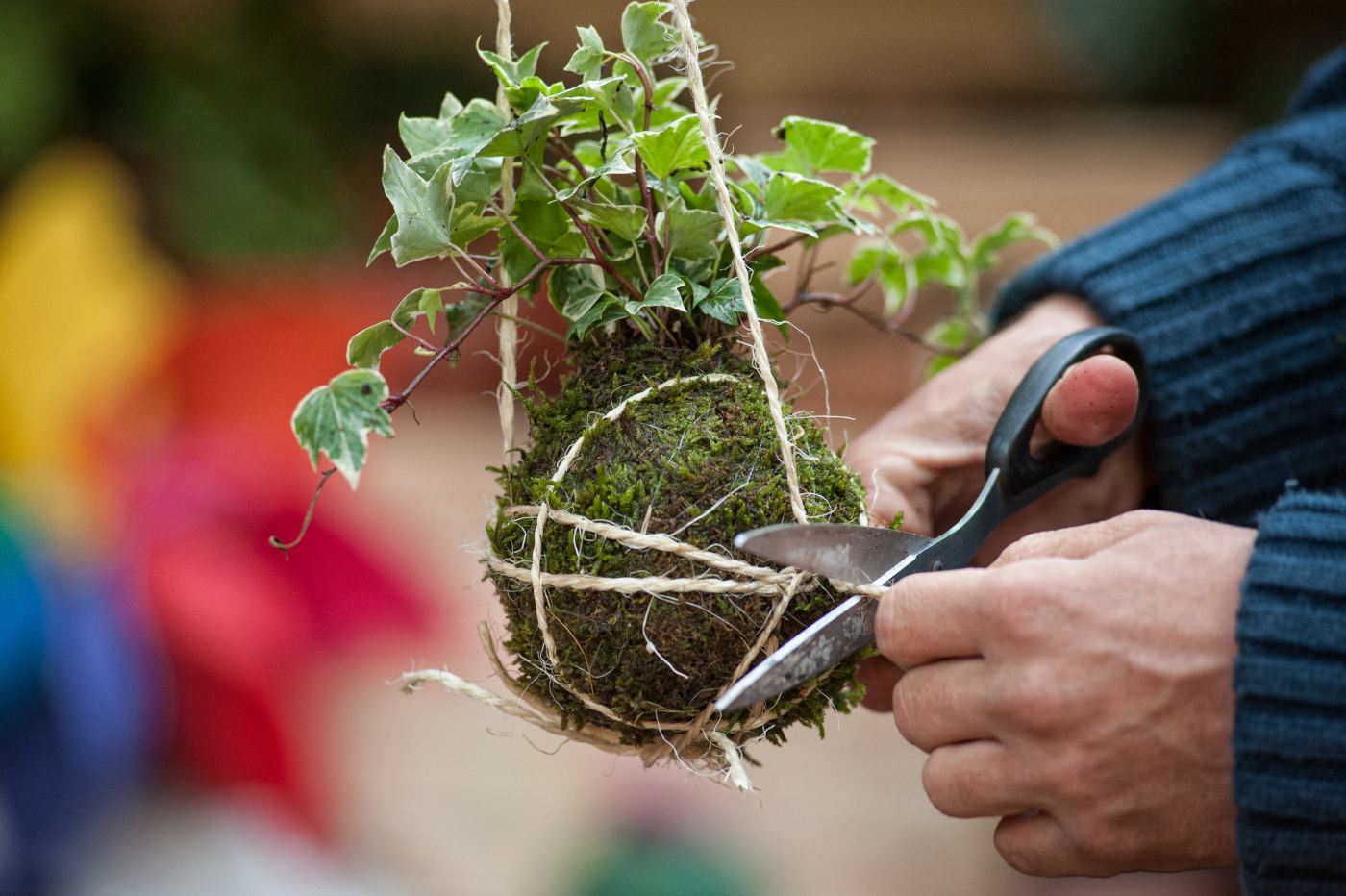 Izrada kokedama. 