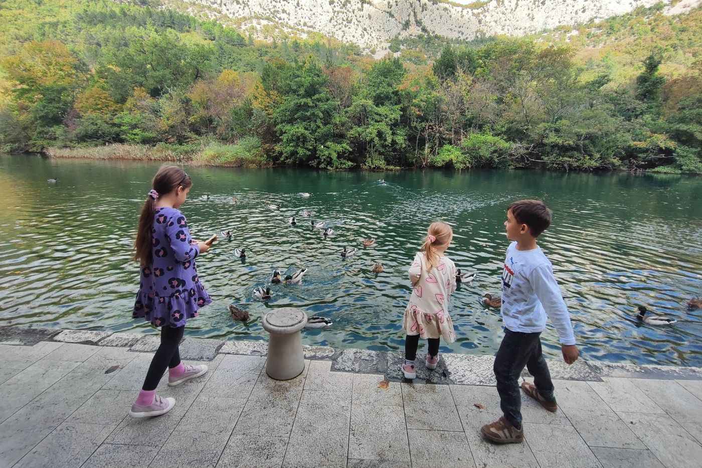 Hranjenje patkica ispred restorana Kaštil slanica.