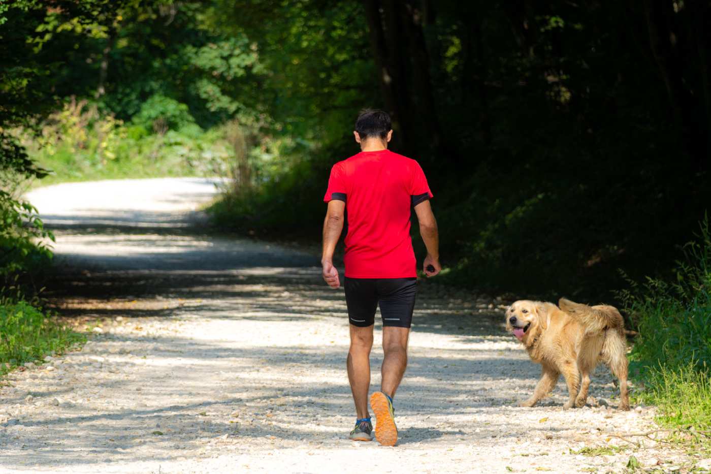 Ekostaza Zelinska gora