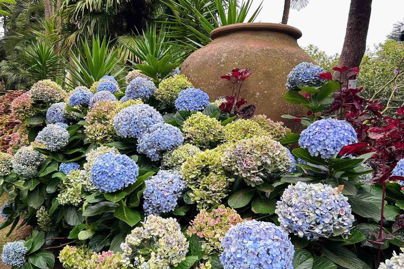 Madeira, Jardim Monte Palace. 