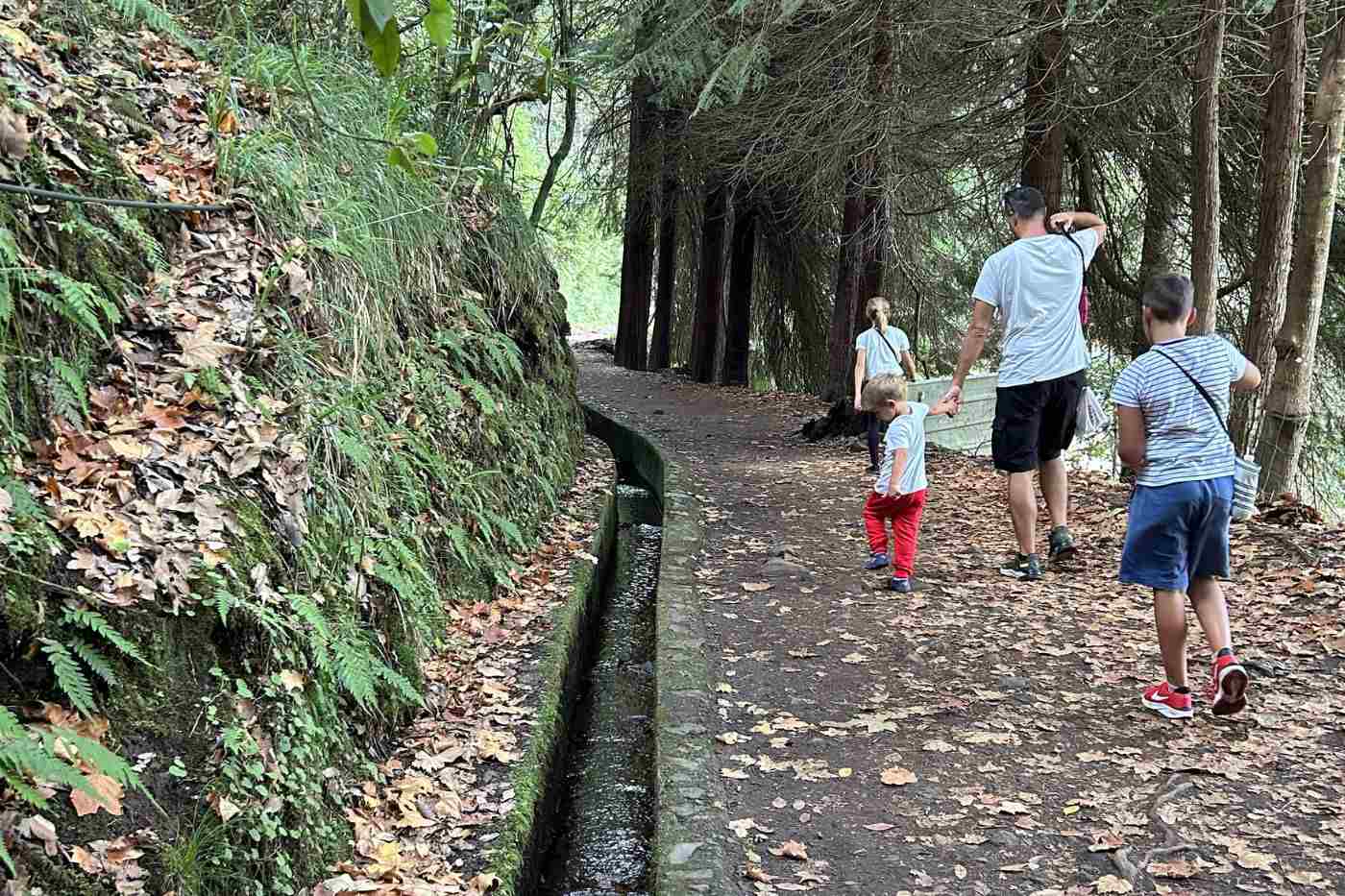 Levada dos Balcoes.