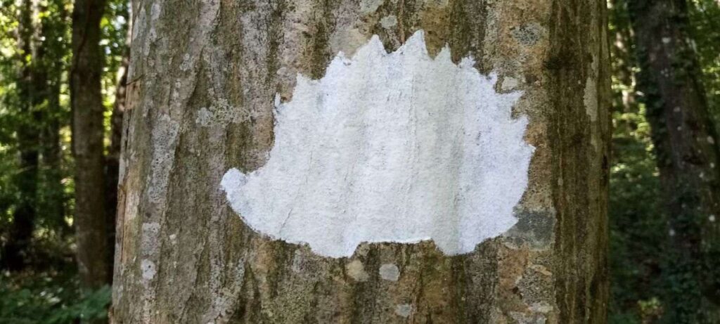 Dječja planinarska staza "Mali Bilogorci".