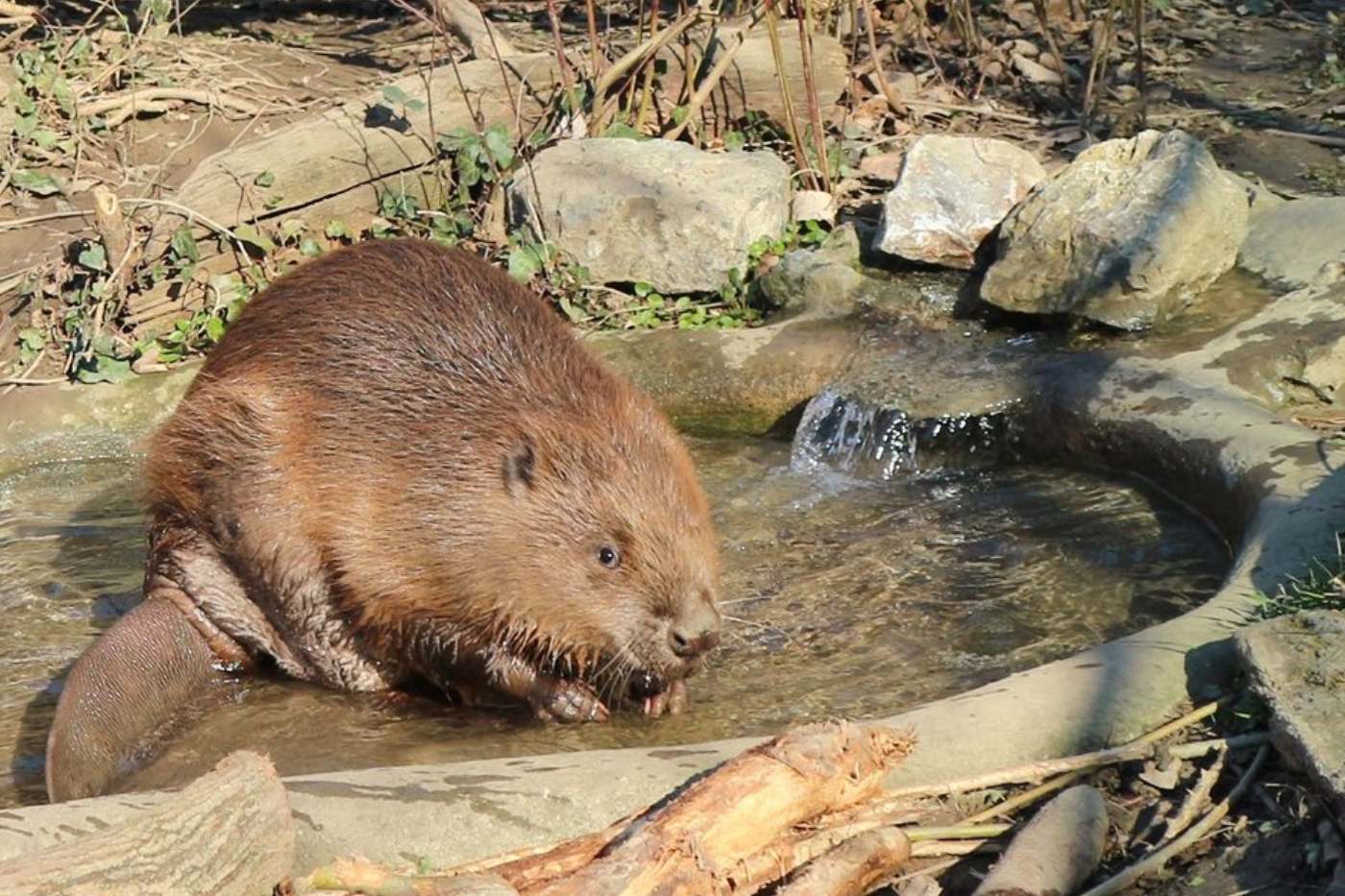 Egzotične subote u Zoološkom vrtu Grada Zagreba