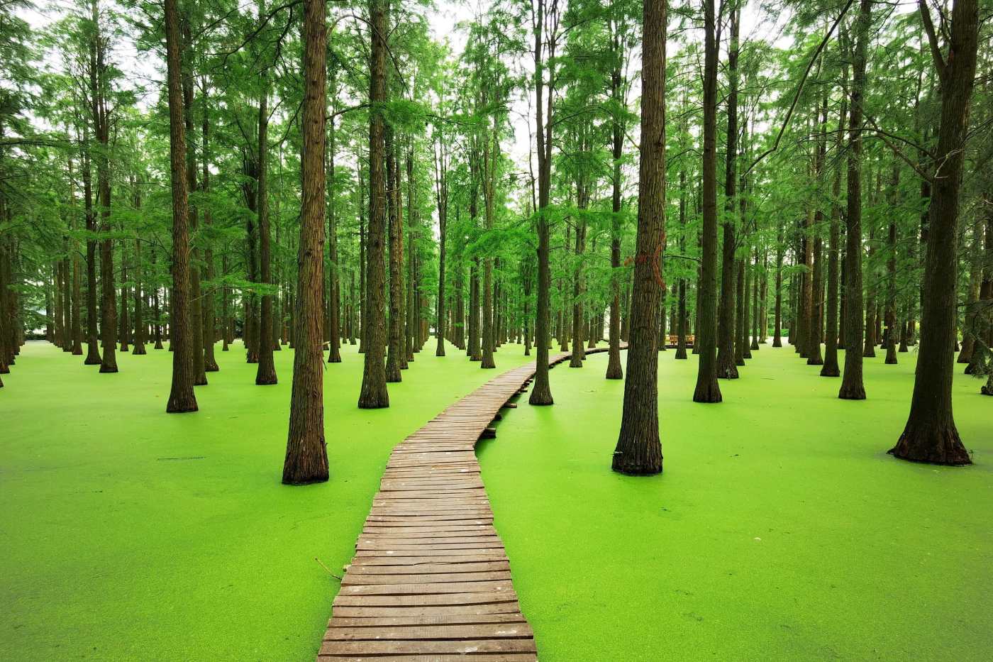 Jezero Luyang, Kina.