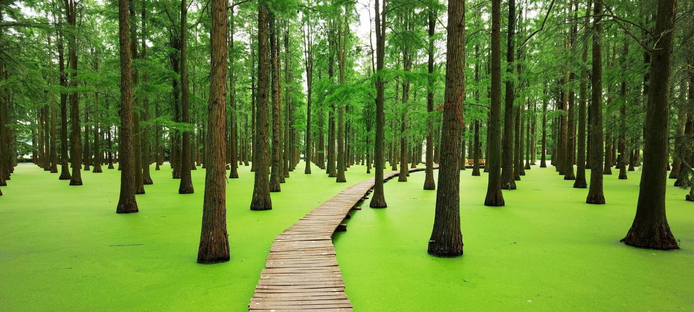 Jezero Luyang, Kina.