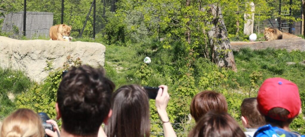 Zekanje u Zoo vrtu