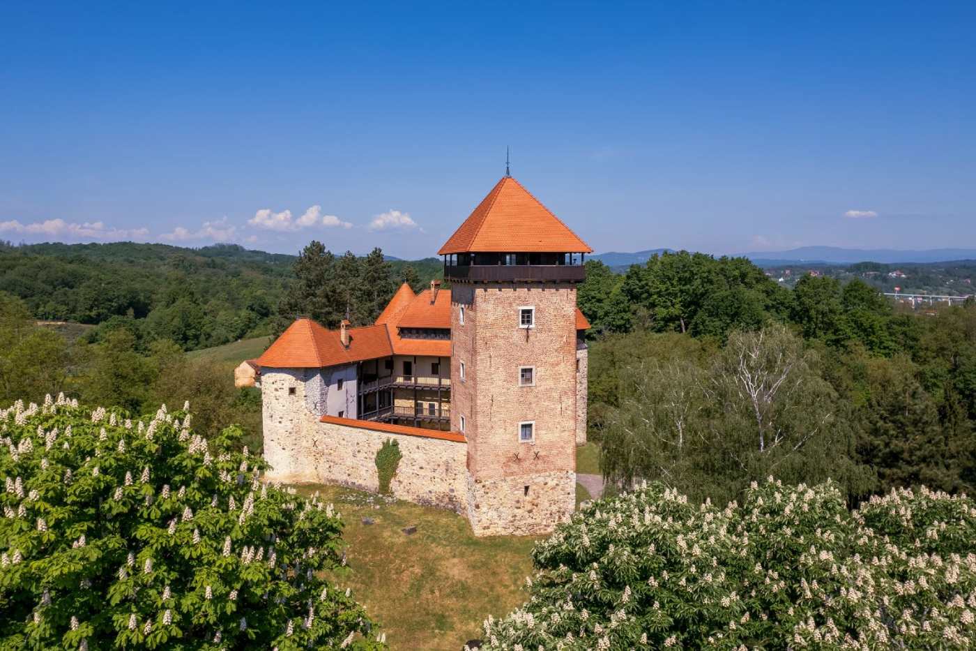 Stari grad Dubovac.