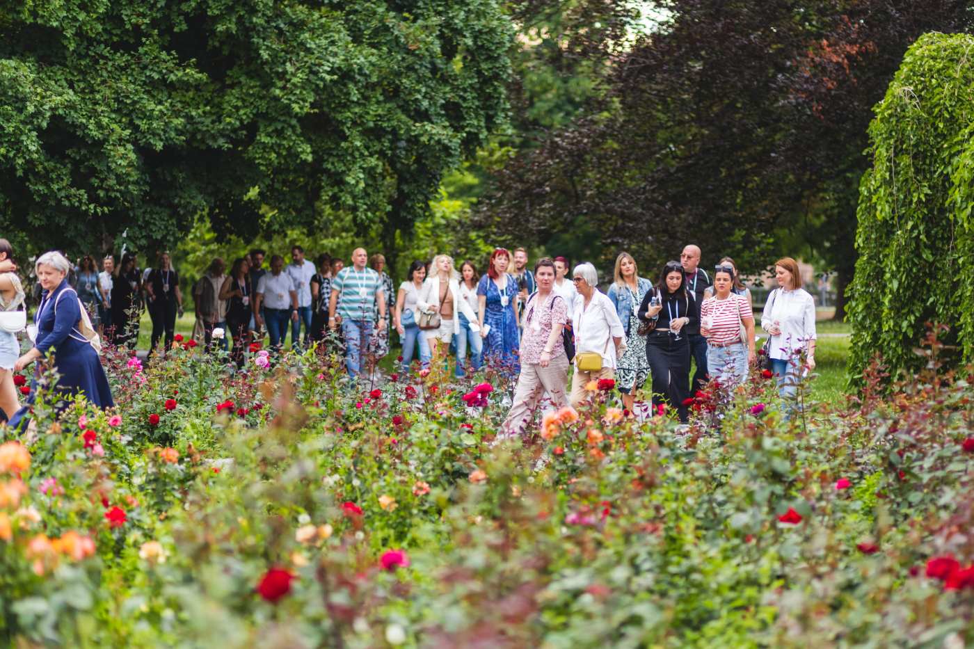 Osijek Wine and Walk.