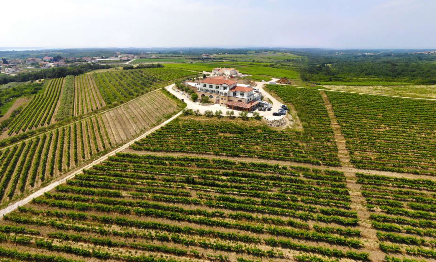 Proljetni road trip uz SelectBox. Vina Cattunar.