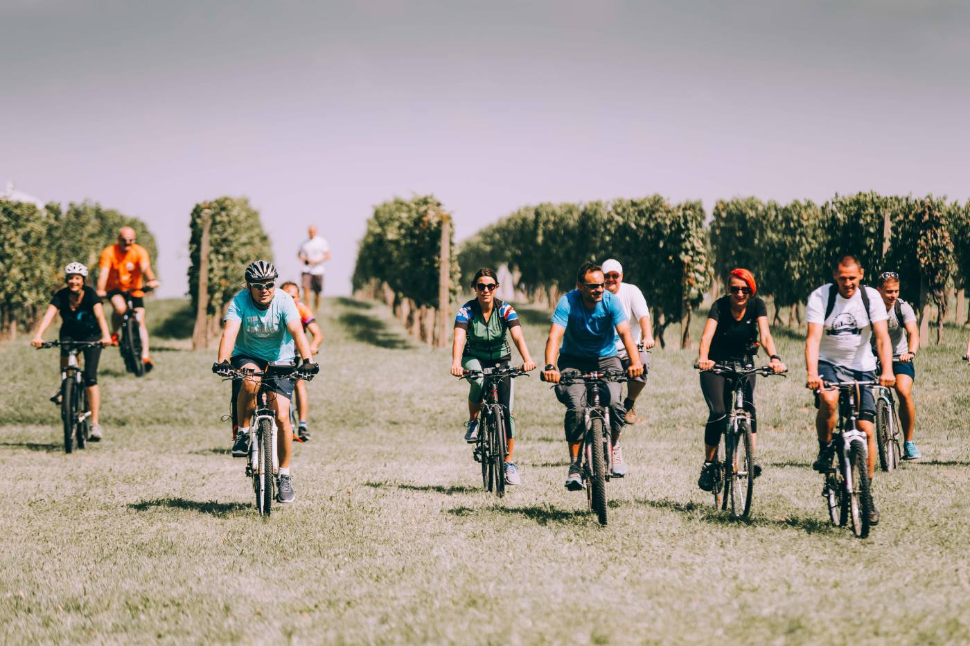 Vinski mjesec Osječko-baranjske županije. Wine & Bike Tour.