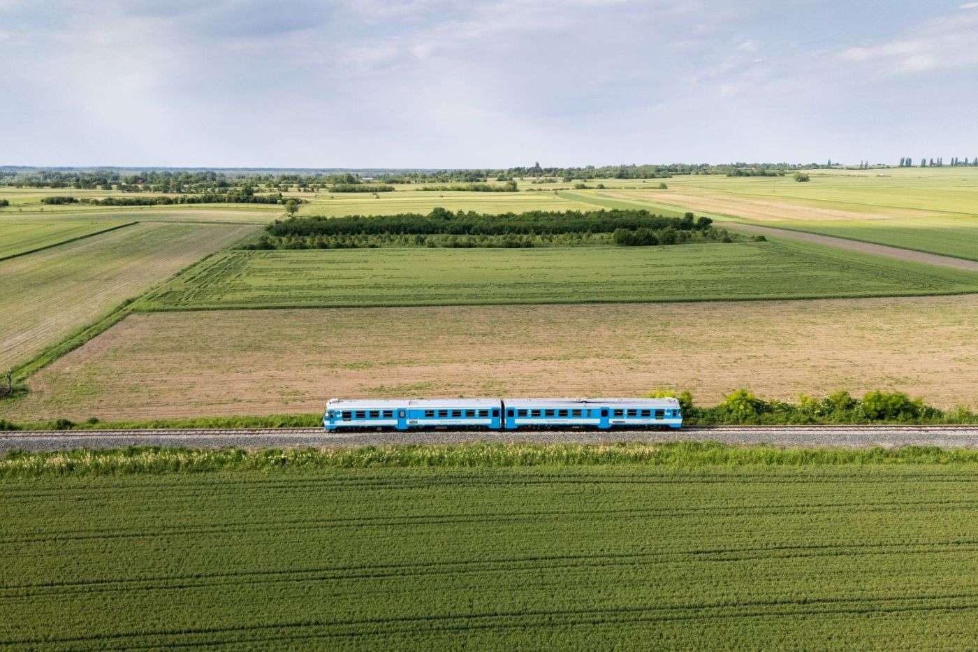 Slow wine train.