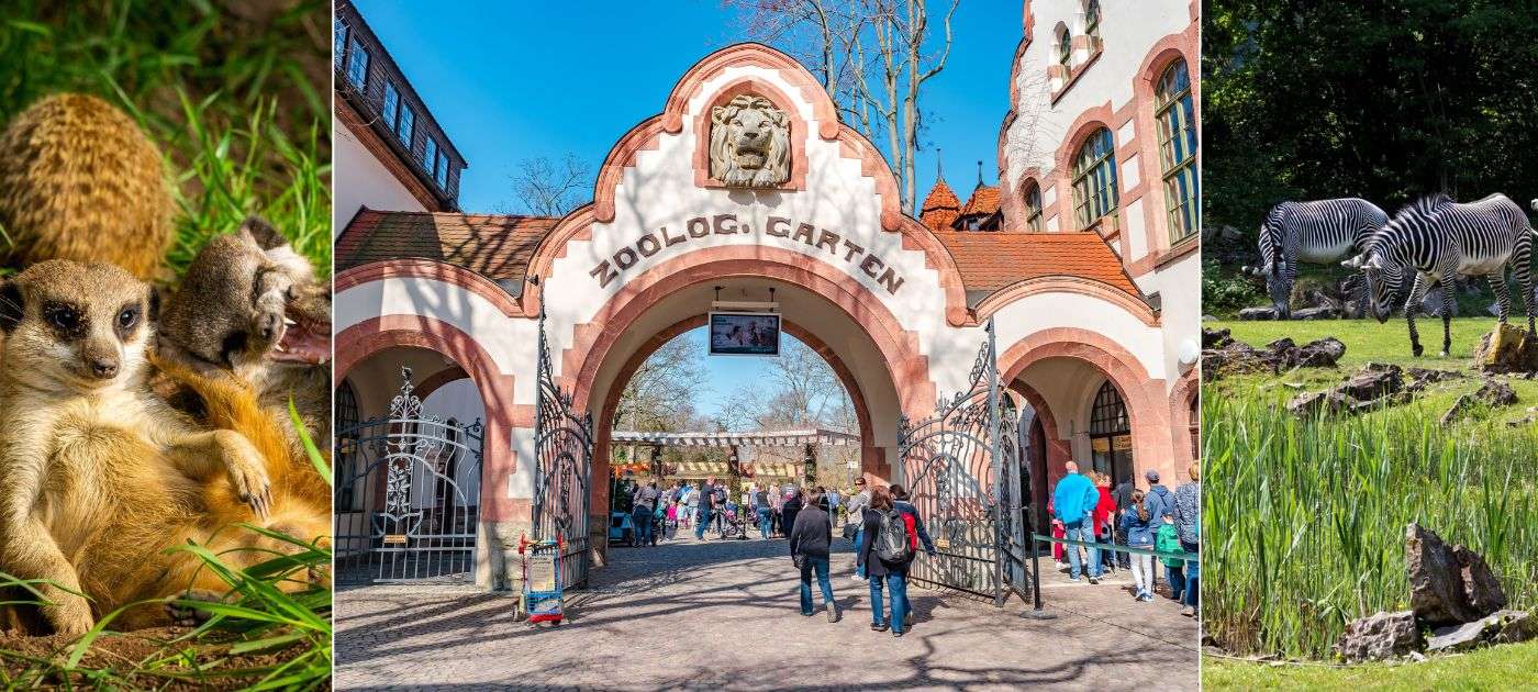 Zoo Leipzig.