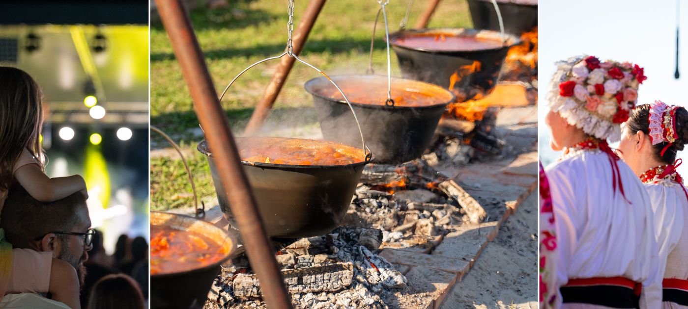 DunavFest, Vukovar.