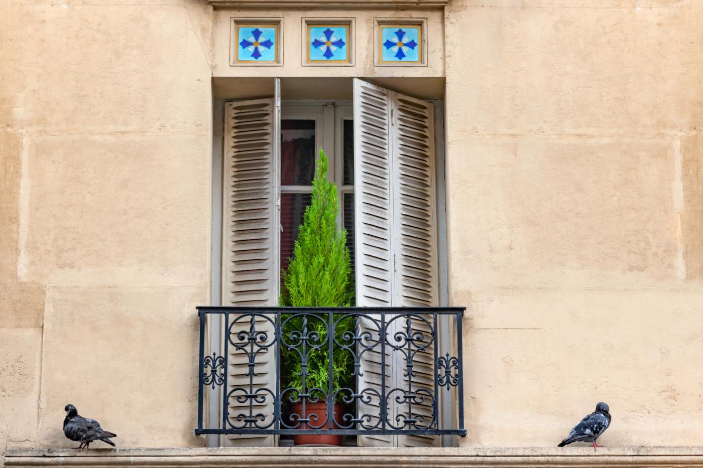 Pariz. Anegdota s golubom.