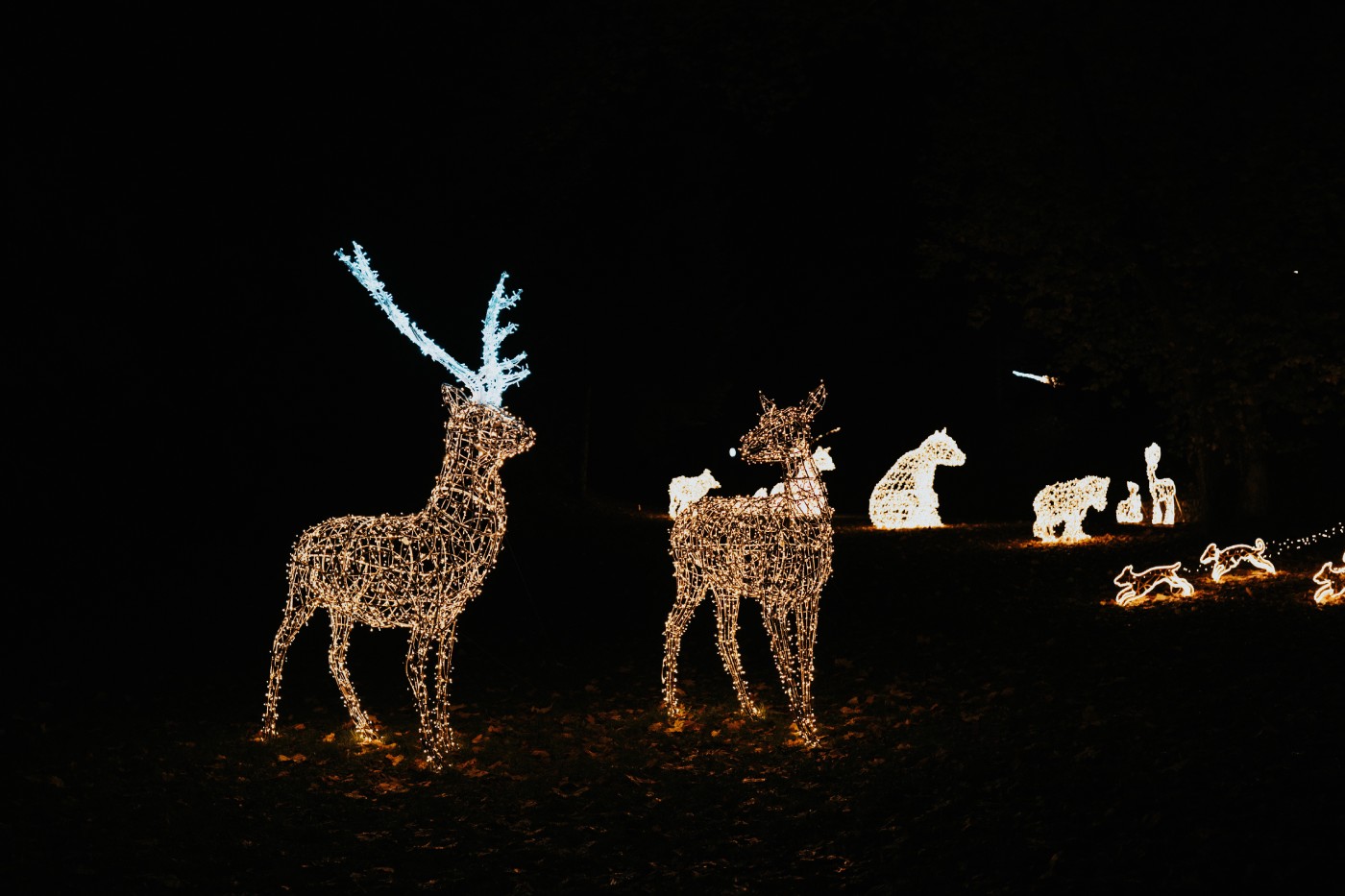 Trakošćan, Dvorac svjetla. 