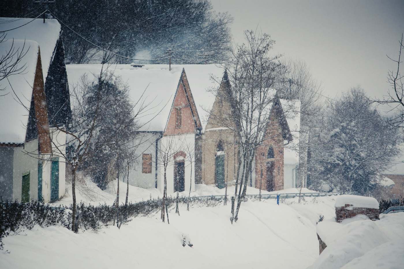 Vinski gatori u Baranji. 