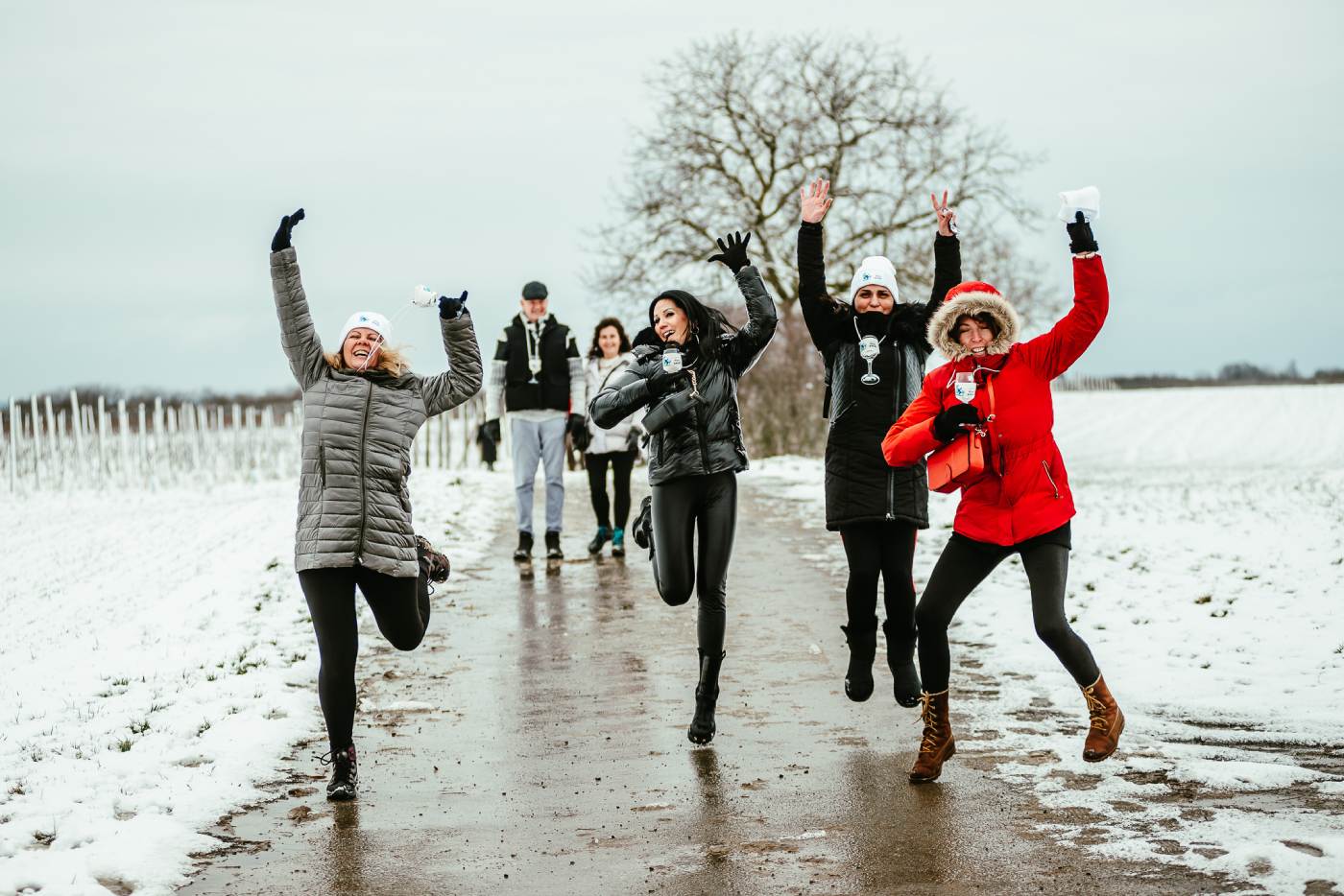 Winter Wine and Walk Baranja. 