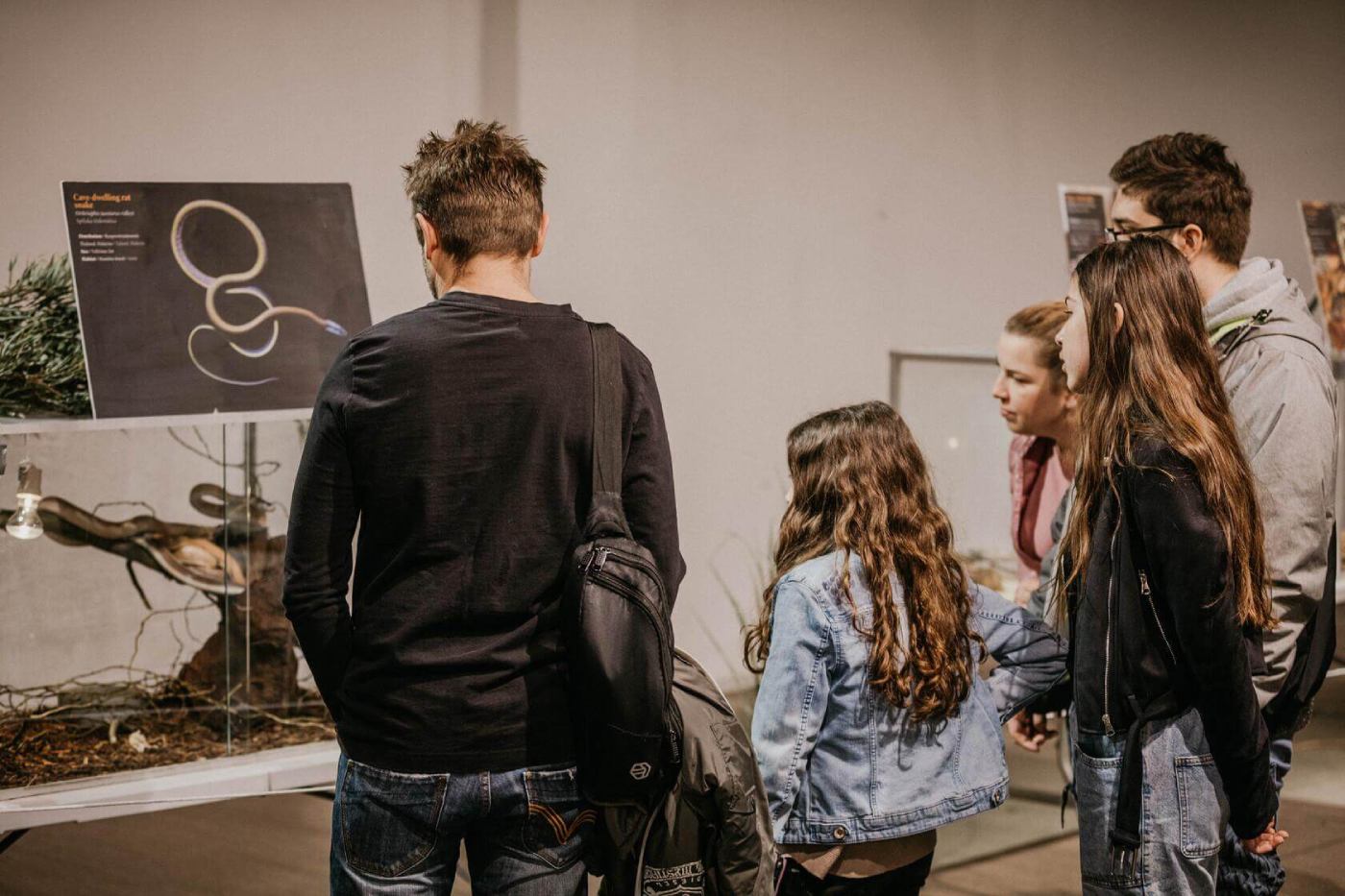 Izložba zmija, papiga, guštera i paukova u Family Mallu, u Zagrebu.