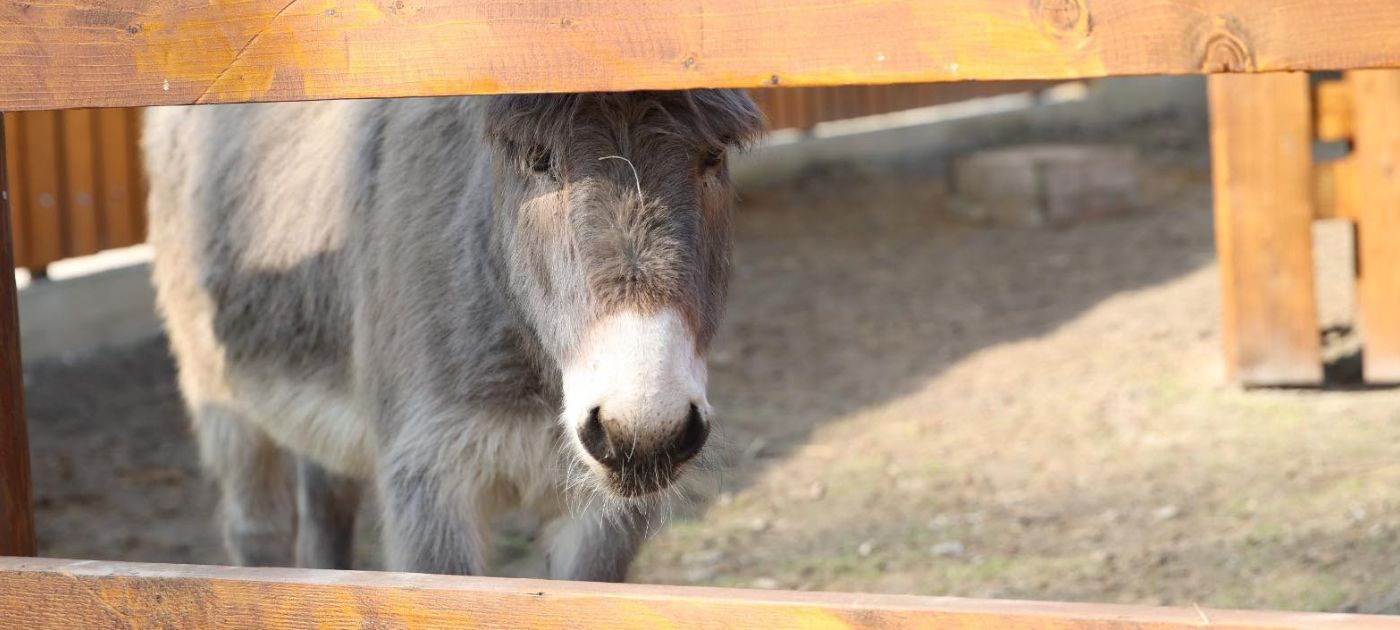 Osječki zoološki vrt, Slavonsko selo.