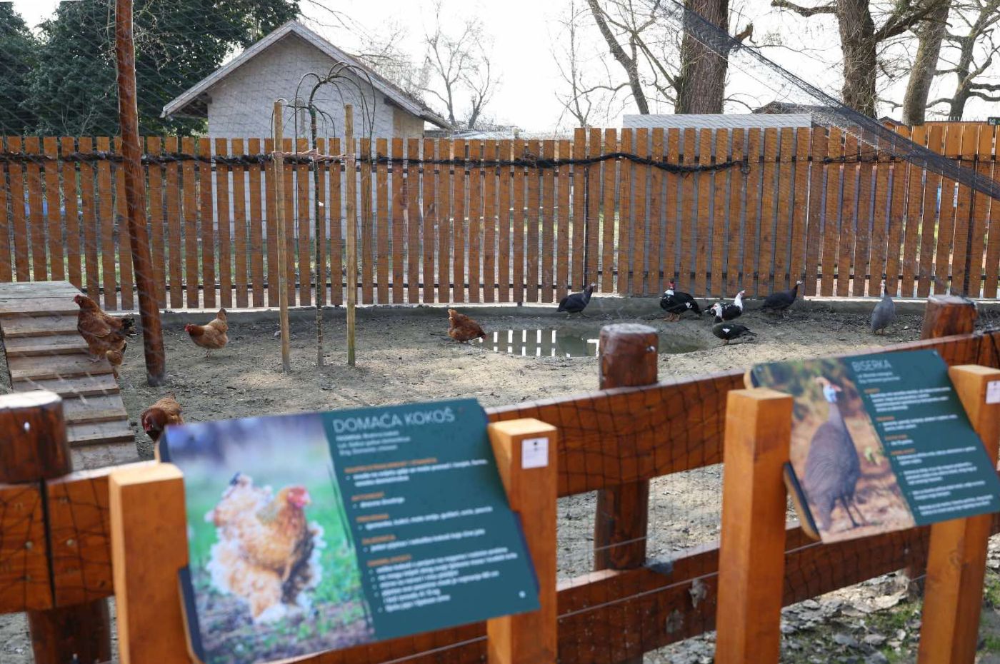 Osječki zoološki vrt