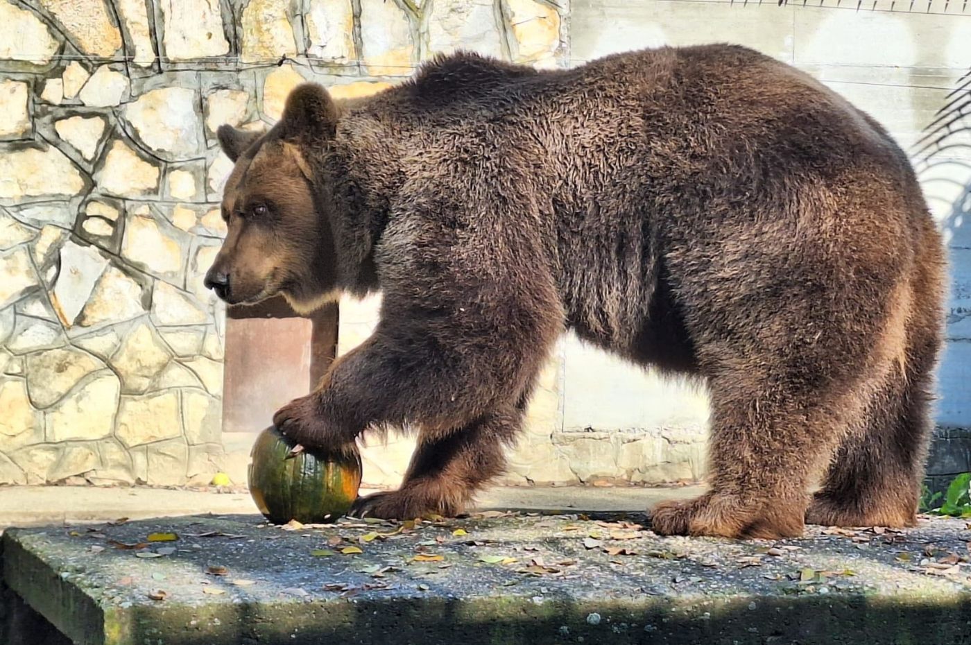 Osječki zoološki vrt, Slavonsko selo.